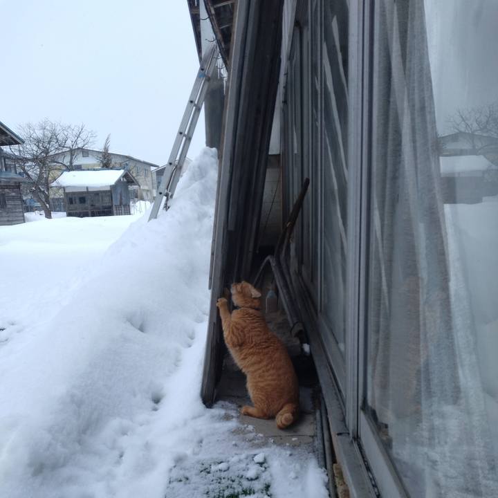 175d3dd0 1bb2 4d46 824d 79023d0012b8 1674354763230