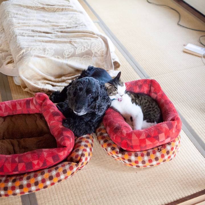 175d735c 8fdc 462c aeb2 5e10db480f5f 1590195036991