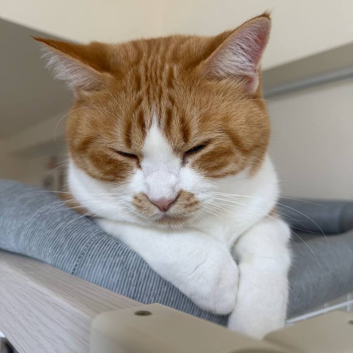 175da7c5 d167 40af ae5c 3b0539e4edab 1761696505275