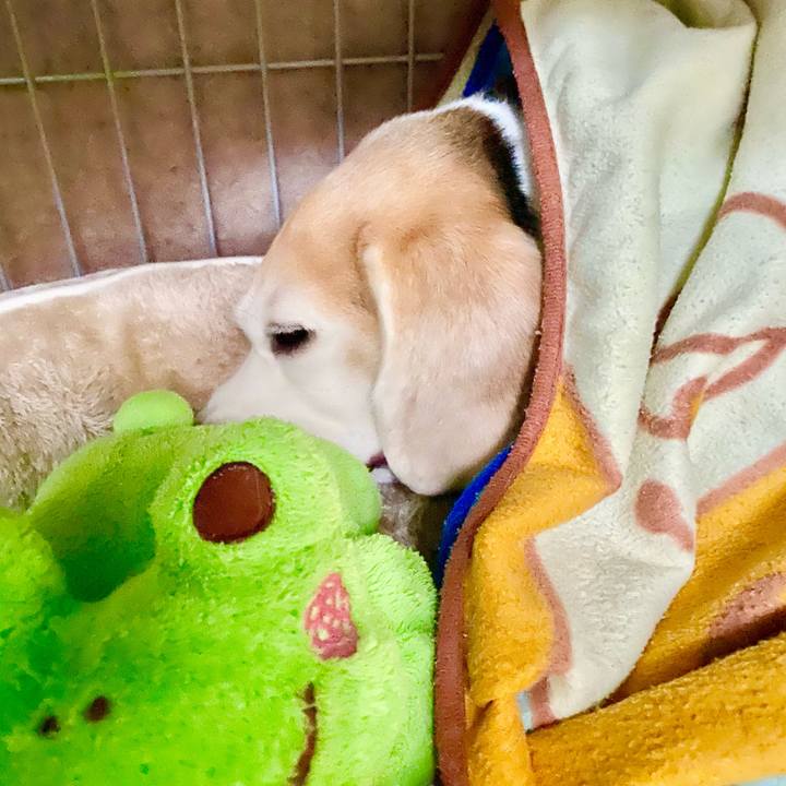 175db852 8e96 4f44 a680 64e930332e89 1769590709012