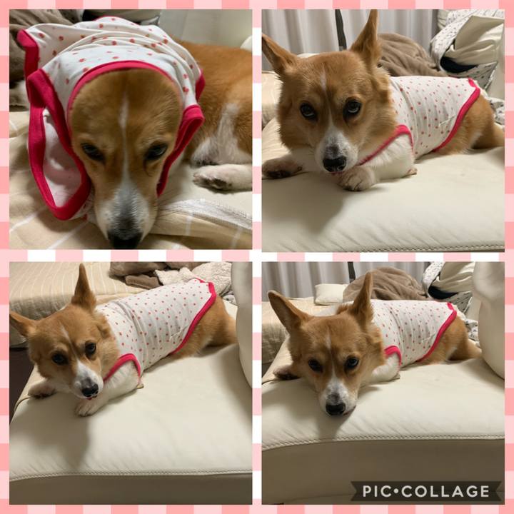 175ddc5b 0316 4958 abd8 65644f5bad8c 1583915209126