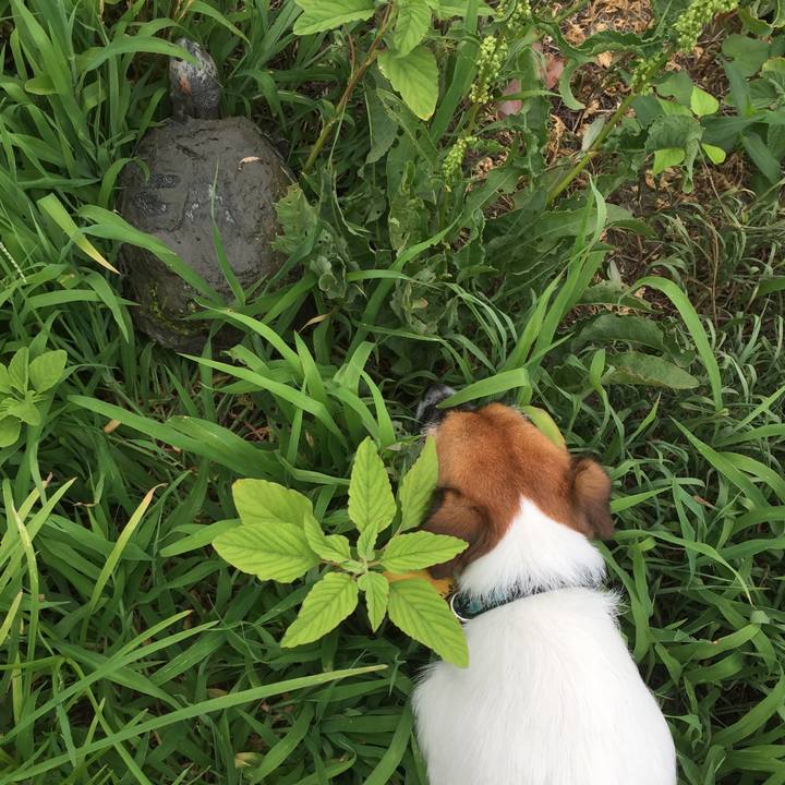 175de4c7 e068 498a a0b1 2b5a04d94f6c 1532475665768