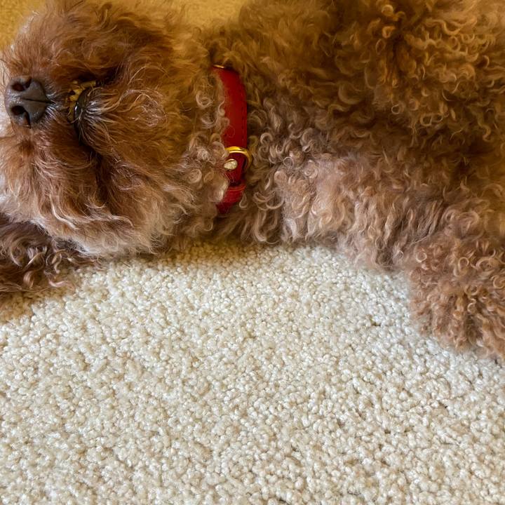 175e124c 60c2 4702 bd4f ec709a0c3ad2 1685397101818