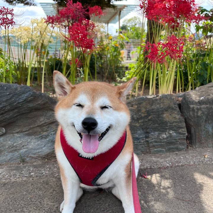 175e16e7 8896 45d8 bdd2 e8eff039b133 1696212778759