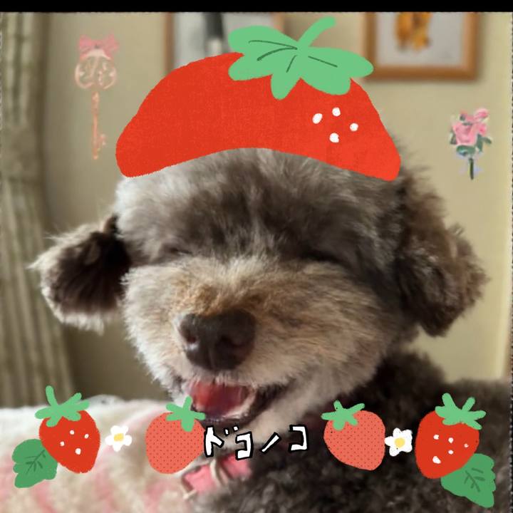 175e830a a065 4583 ab7f d5aad3a988a4 1775183310375