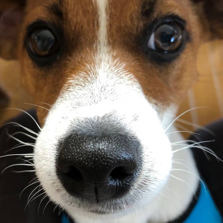 175e91ed d270 4059 bdc7 81c8d4d3a324 1524043987182