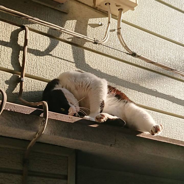 175e9ad8 bca5 4fc0 8efe eb004a0b7228 1551741429117