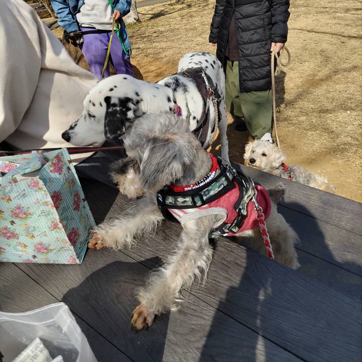 175f1438 f5d4 40bc 9175 b76ac4451ed6 1677984547124