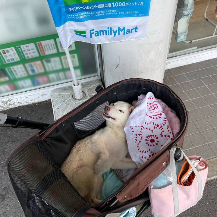 175f2900 d83e 48b3 909c 427c44d6c3c8 1666179812997