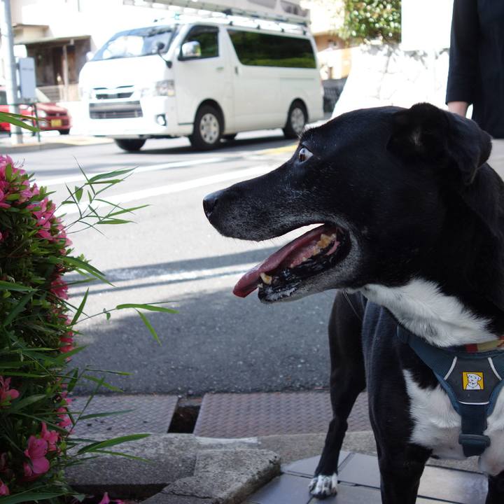 175f34d3 9da2 4748 9f5e 656c0f65992f 1715733744309