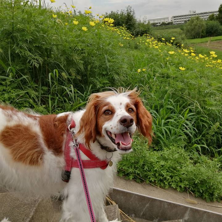 175f7716 4396 478b a3bb ca0a79dd0d7b 1599822375045