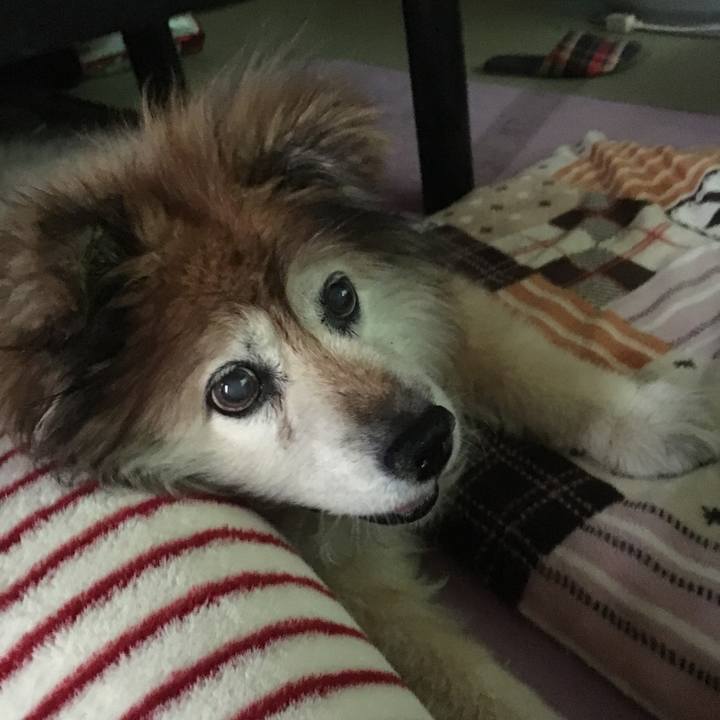 175fcc9a 9d35 44df 8af6 05076299a96c 1575777227869