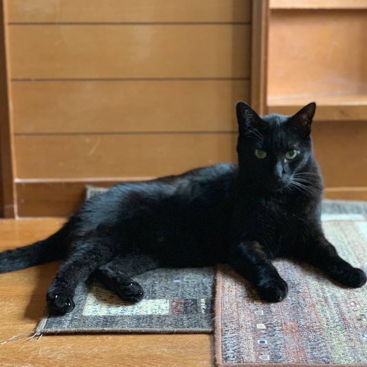 175fd3a7 1f77 4fea 90bf 6212154fd6d1 1559695910360