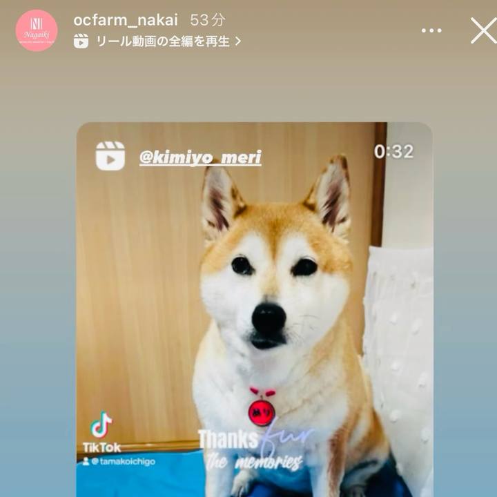 175fe441 3efa 4e8d aeed 1315676656e9 1726049911360