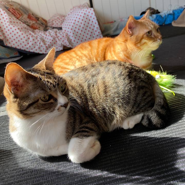 175fe9e7 457a 4df4 afca 4bba7182ee66 1582084890487