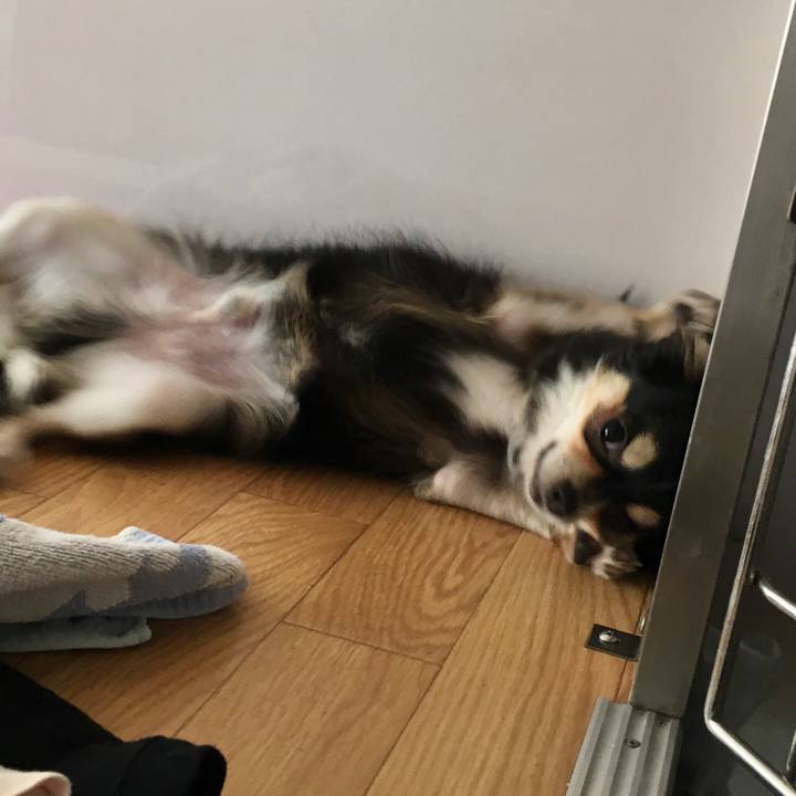 17600d20 4ec9 41e6 afa1 46997b2a48f0 1550649469153