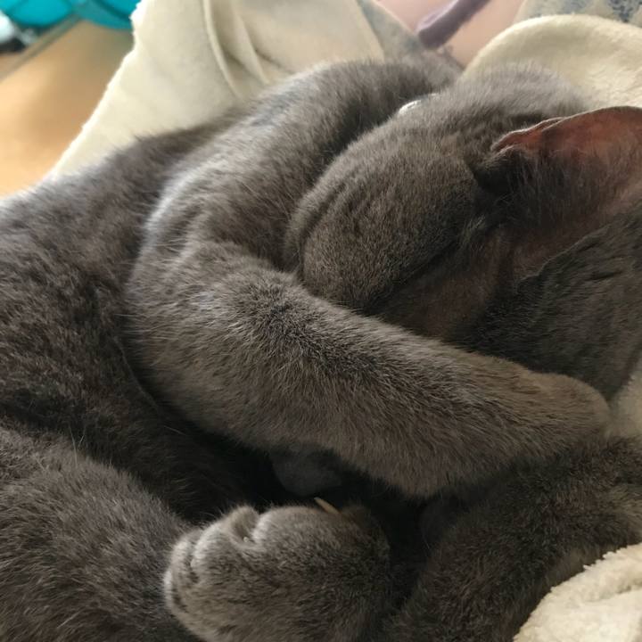 176036a2 0efb 4a4e 85a6 54bbf33c3041 1534042904233