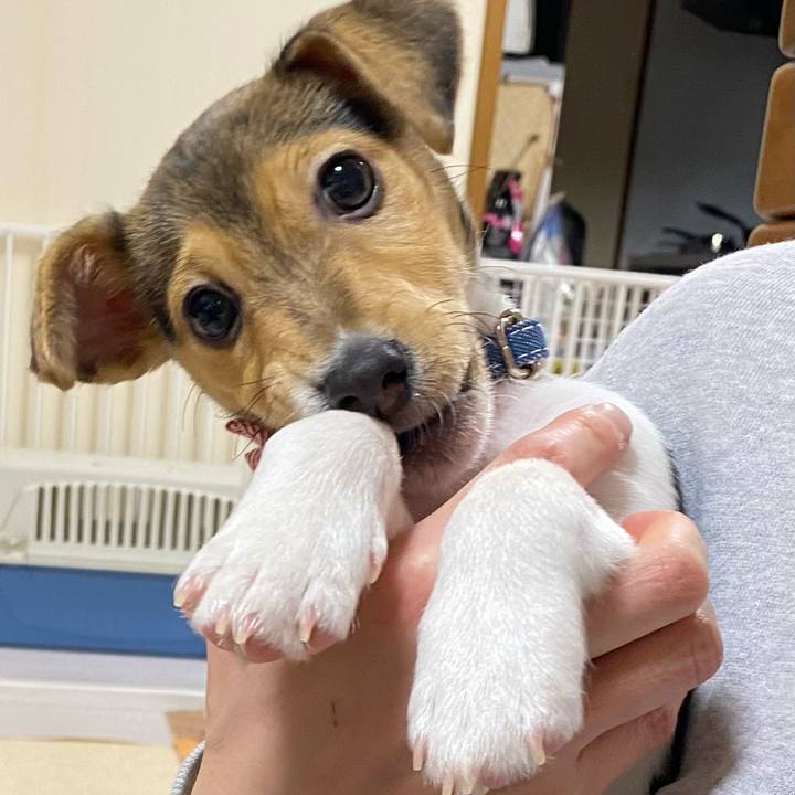 17605126 278b 4f1e 9c04 8c8bab1763d5 1743509406876