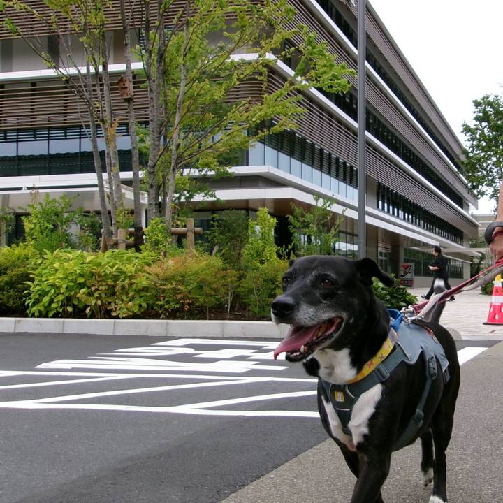 176072ab 77a1 49f6 8ffc 6b3e510b8eaf 1754007605384