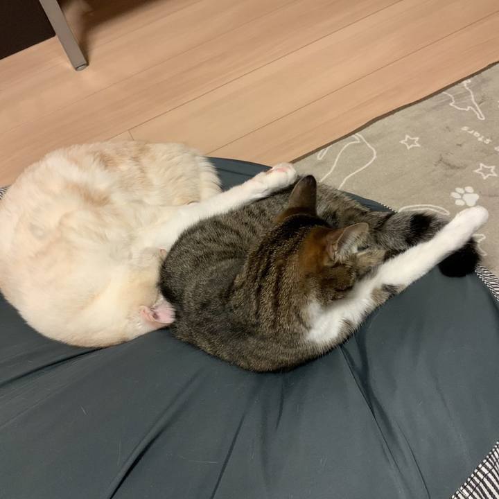 17607ca1 7a5e 47ca b820 b01a80dec54e 1670408638130