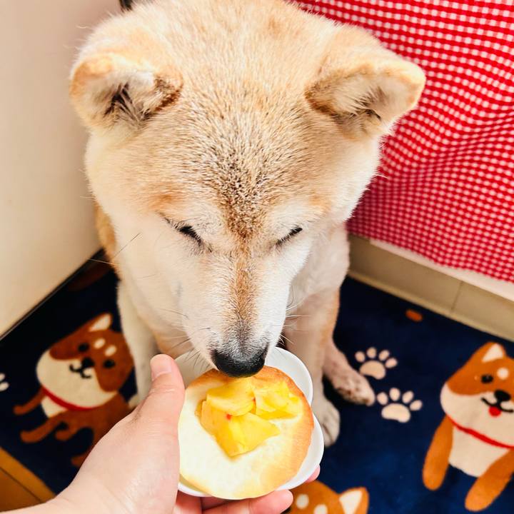 17608ec8 8bd8 4cd6 8d99 e9f1fb1613da 1749787518281