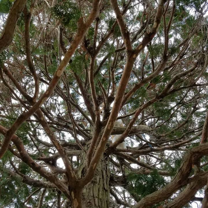 1760a544 f8bf 484c be31 5e13ef2d38c2 1512877450685