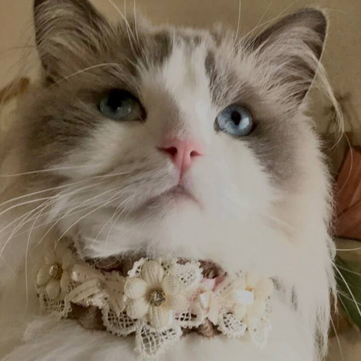 1760ac19 076e 414f aaff f154521767bf 1599207596839