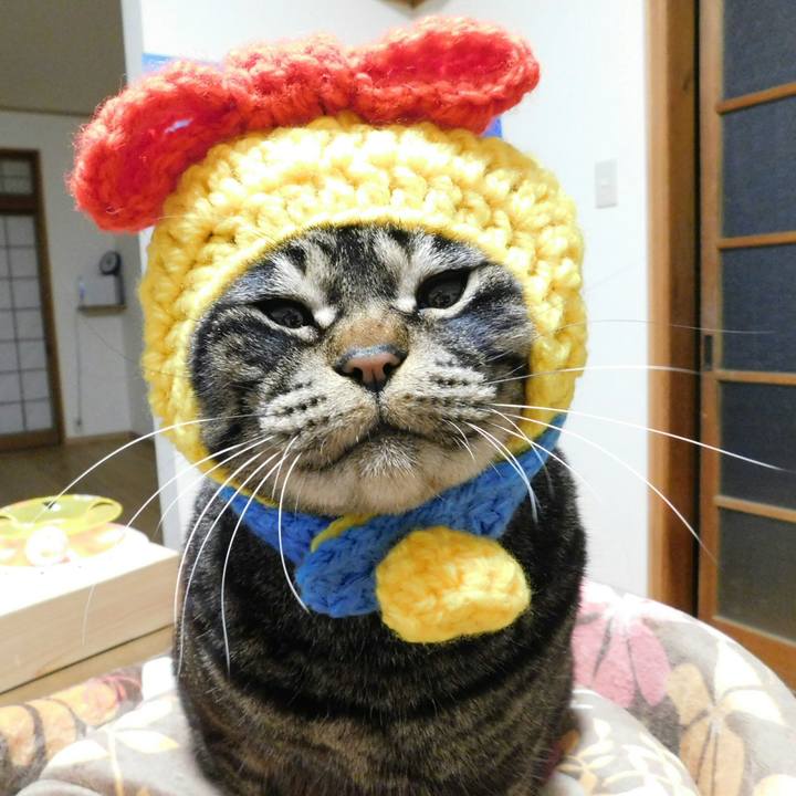 1760b914 3c3b 4672 be31 2d3efae64779 1521123795013