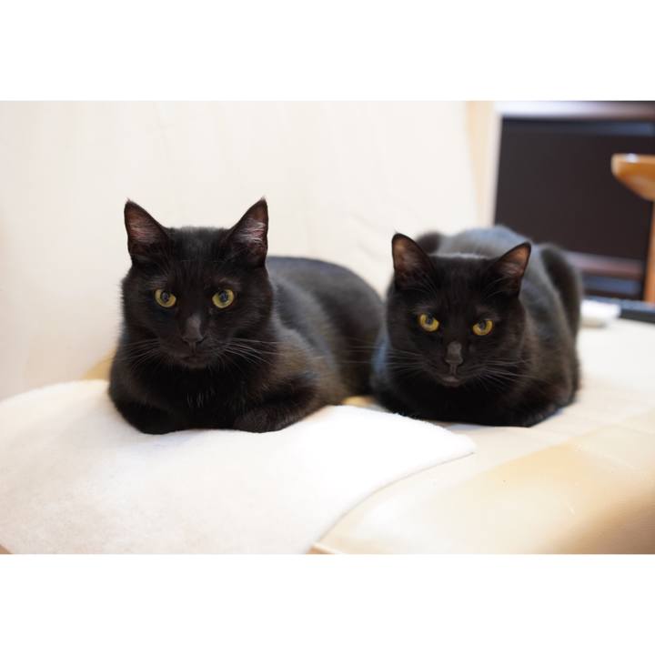 1760e244 6480 4327 b759 7a4d5fbbaf96 1618756931053