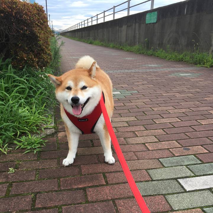 17617f0e 5f64 4977 8aeb 24d04fb2016c 1594186426098