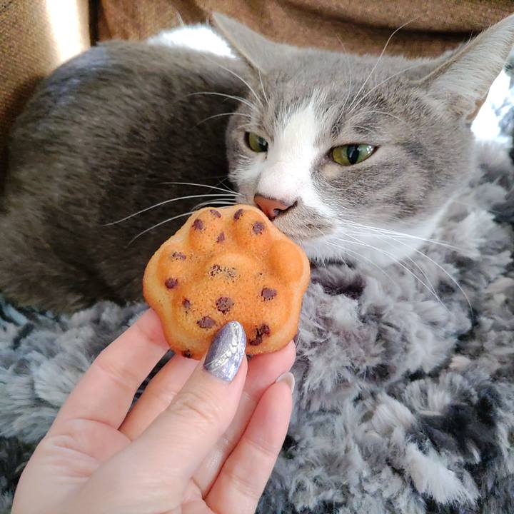 1761cbb4 d545 4009 b003 5519d03b1d10 1670991128641