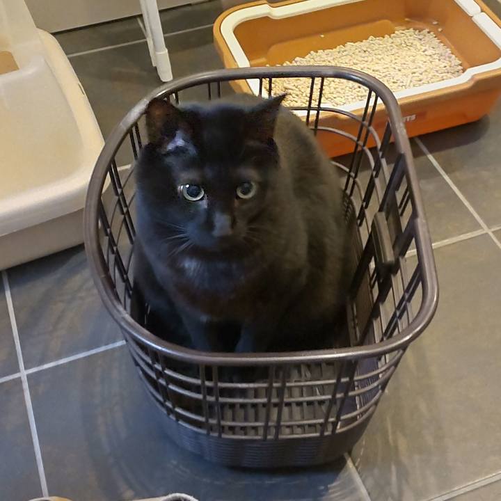 1761d1db 8a32 4fc5 8f64 e1c86af4d50d 1733631247046