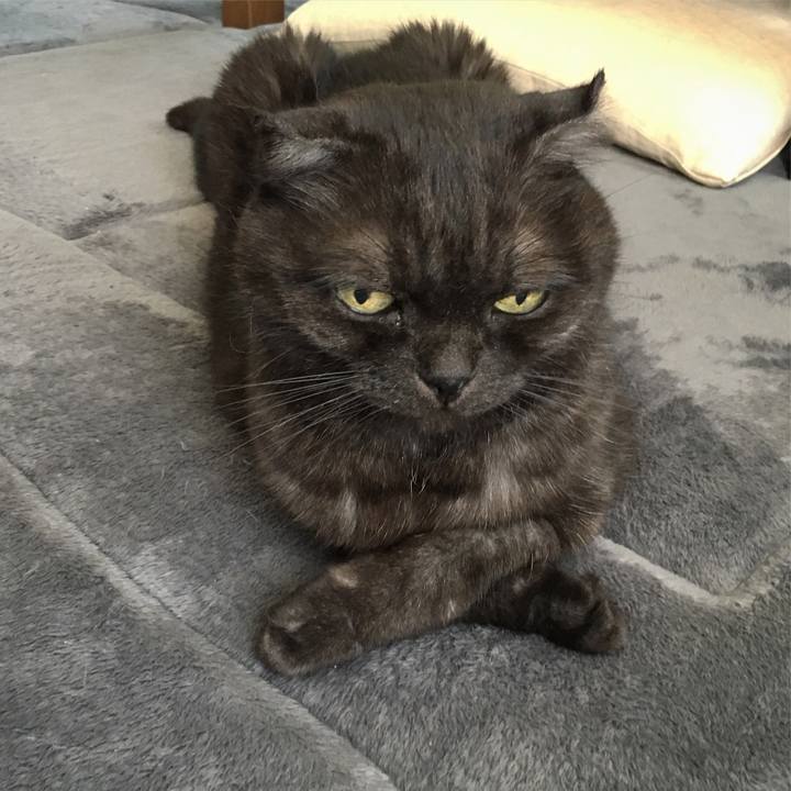 1761dcb4 2808 4583 a9d2 675076eaf4c1 1565500813642