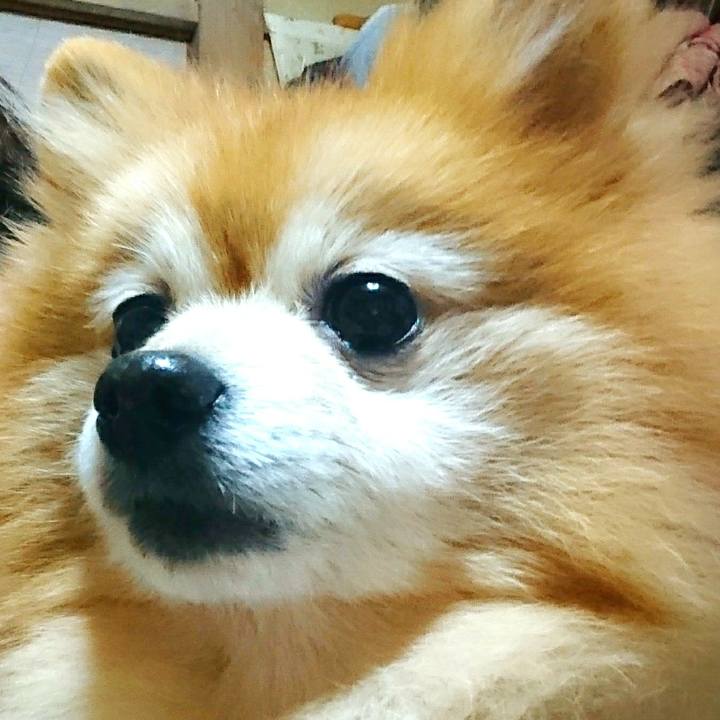 17624842 8ab4 44ce 8aa8 26425c8989a6 1515537254313