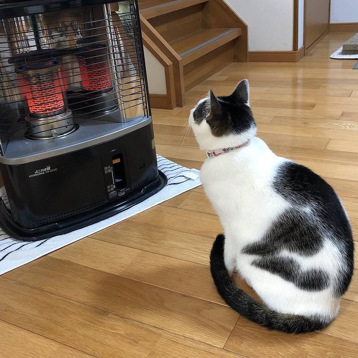 176276db 342a 4cf5 8e42 c7514036f344 1647174219611