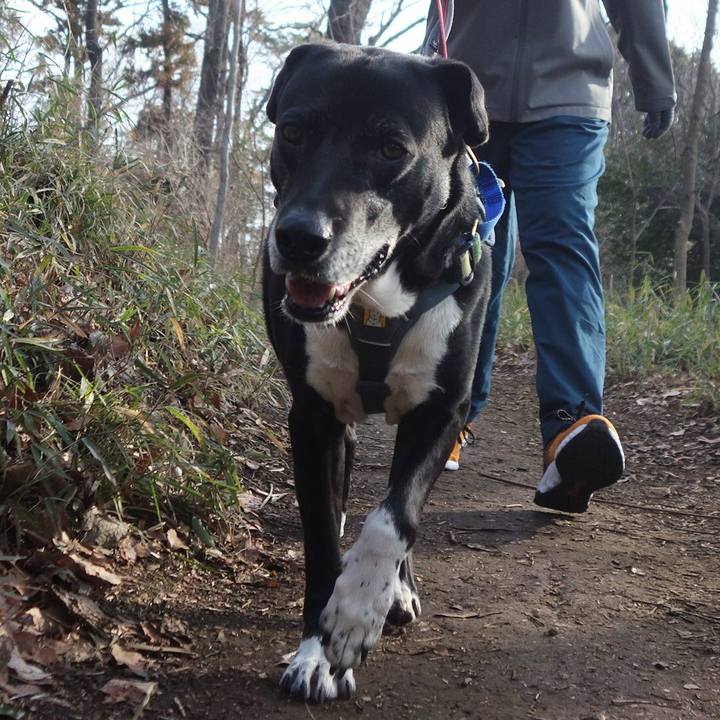 1762825d 8c40 4011 bbf5 6110673fb8c0 1709167834606