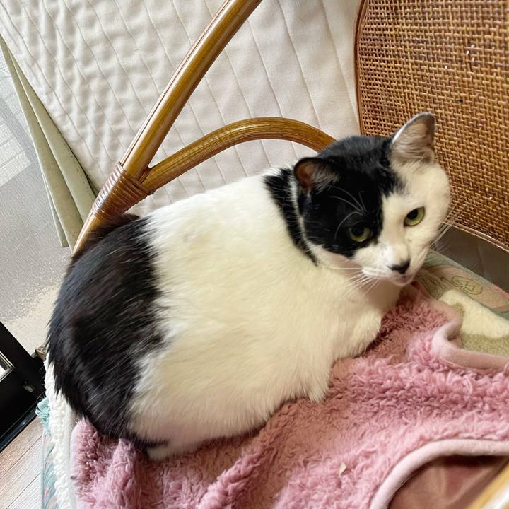 1762b77a 92a3 4095 b56e 2e825dbbd681 1767739693172