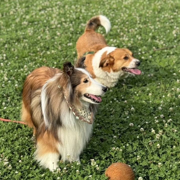 1762c1ab f5c2 4bed b479 066baaf4bb9e 1719188589641