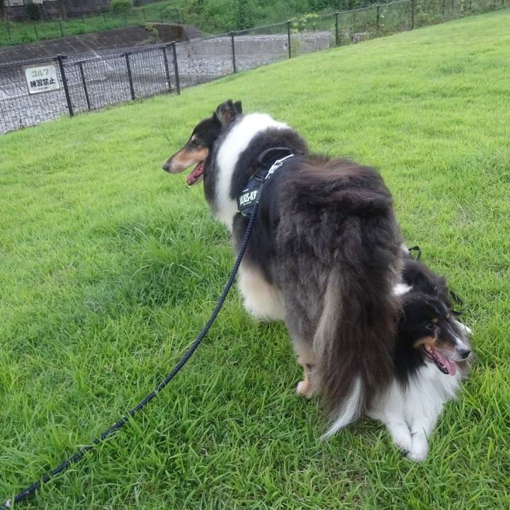 176360ce 48ce 4b41 a873 8a1edcddd085 1597499371122