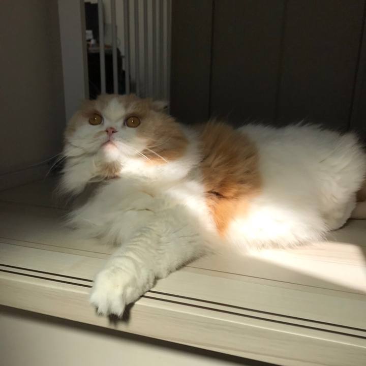 17636f8c 0729 4223 871e 1f8eca49ff8a 1589440499151