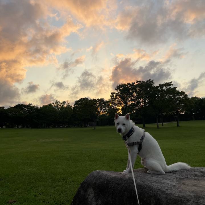 176382b8 05e9 4e05 b8de 457c18720d92 1691960306401