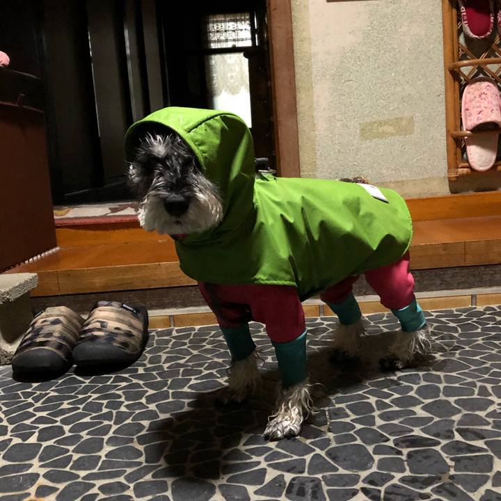 1763b866 907d 4ea6 9b7b e3aa15eb4fb9 1670162369938