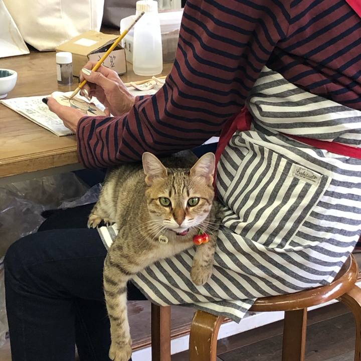 1763bd47 9608 4d15 a9b1 ac7aed60e5a6 1615607393534