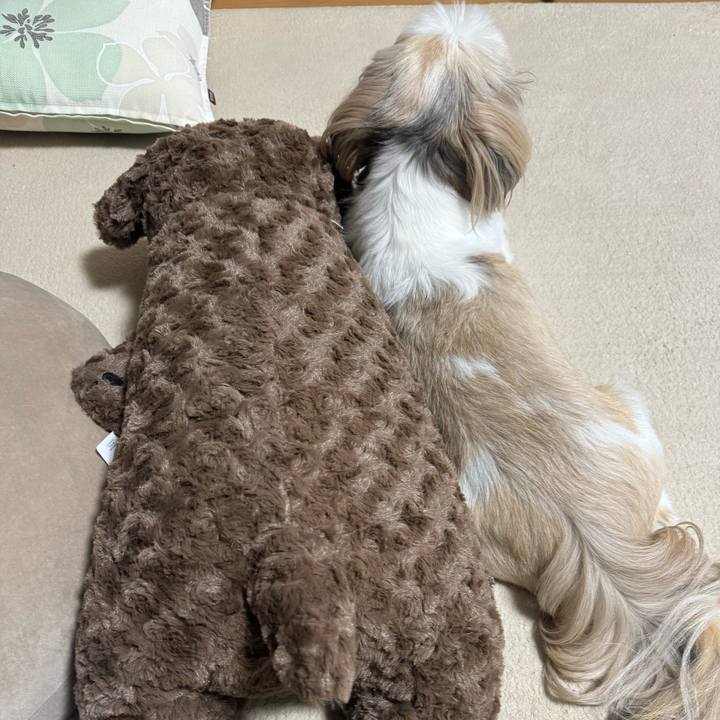 1763c3a0 3992 4a64 be0c ed303a963a8a 1725718897850