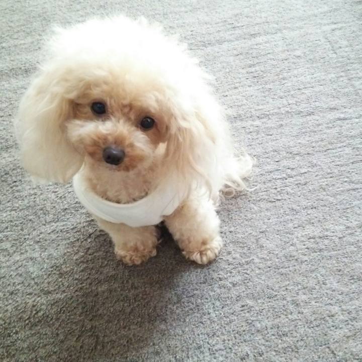 1763d364 7479 4e57 98e9 fb3205e52f42 1538382831427