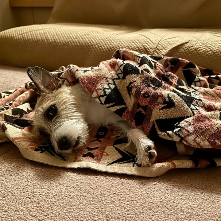 1763e185 a9cb 4a78 9810 e8a96cf649d8 1729434517205