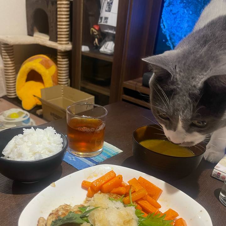 17640c5a b354 4ecc 9f01 da10903677d8 1700048097435