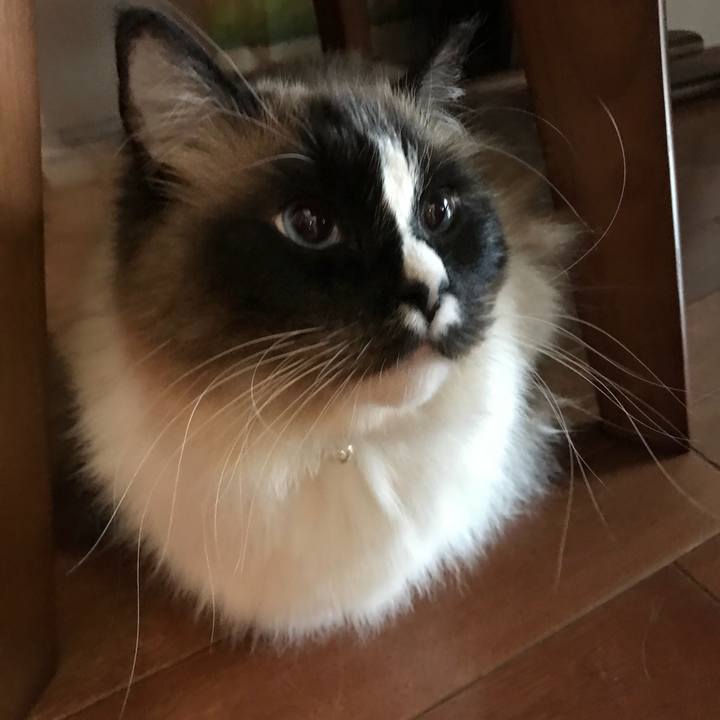 17646edd cf18 41f7 a19c e530ace90b97 1517403268282