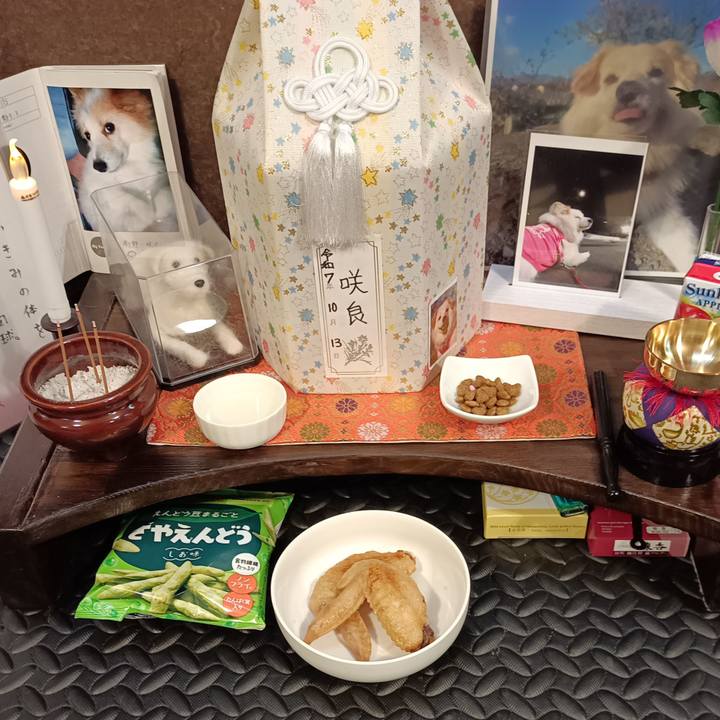 1764d6eb 737f 42e4 a284 fcd5f29b6564 1760779924293