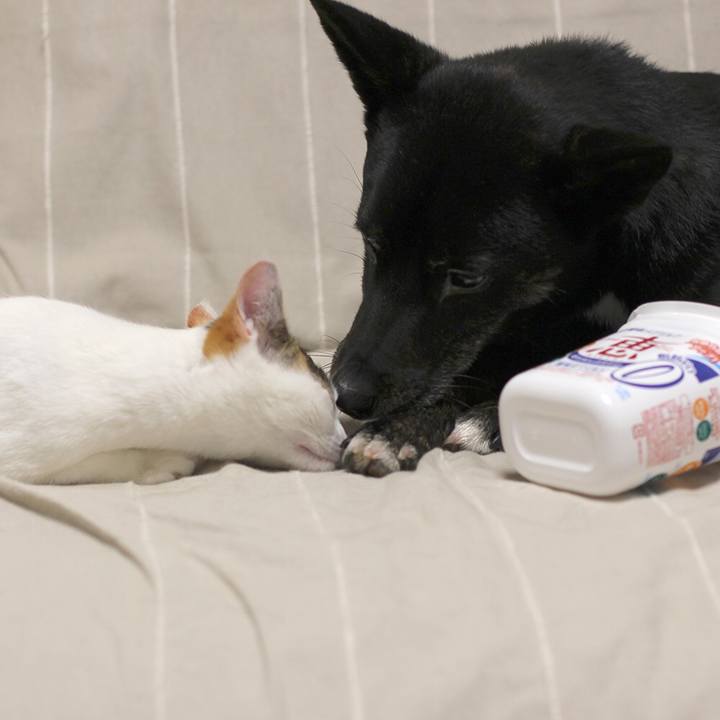 1764eed9 7a88 476b aac1 0fa7391bbdb6 1554946762092